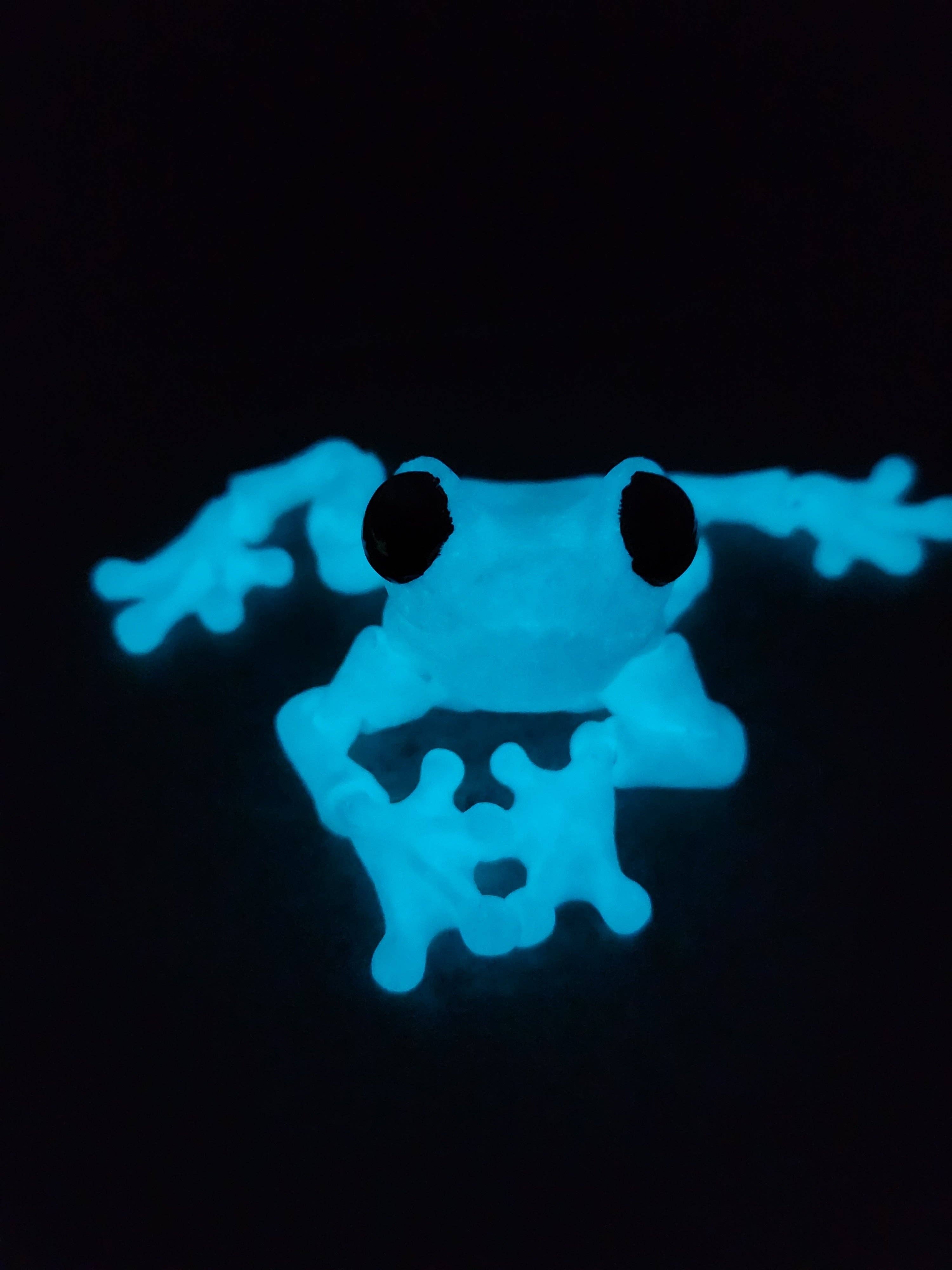 Altered Matter - Wholesale Fidget Toy - Kids - Froggy Friend - 3d Printed Fidget9
