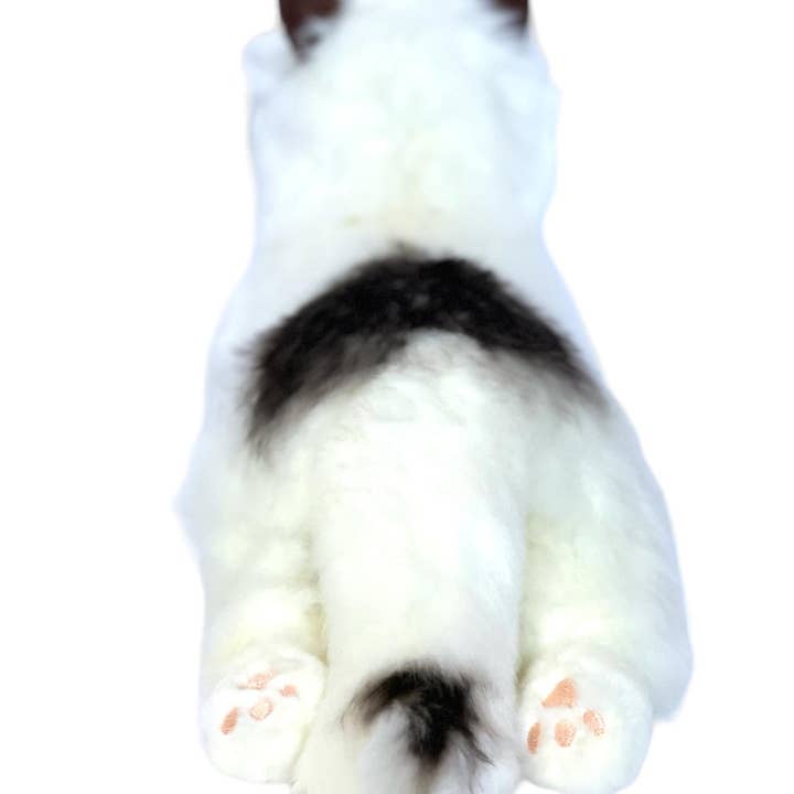 Auswella - Wholesale Stuffed/plush toy – Kids & baby - Plush Cat- 16" Plush Ragdoll Kitten Stuffed Animal2