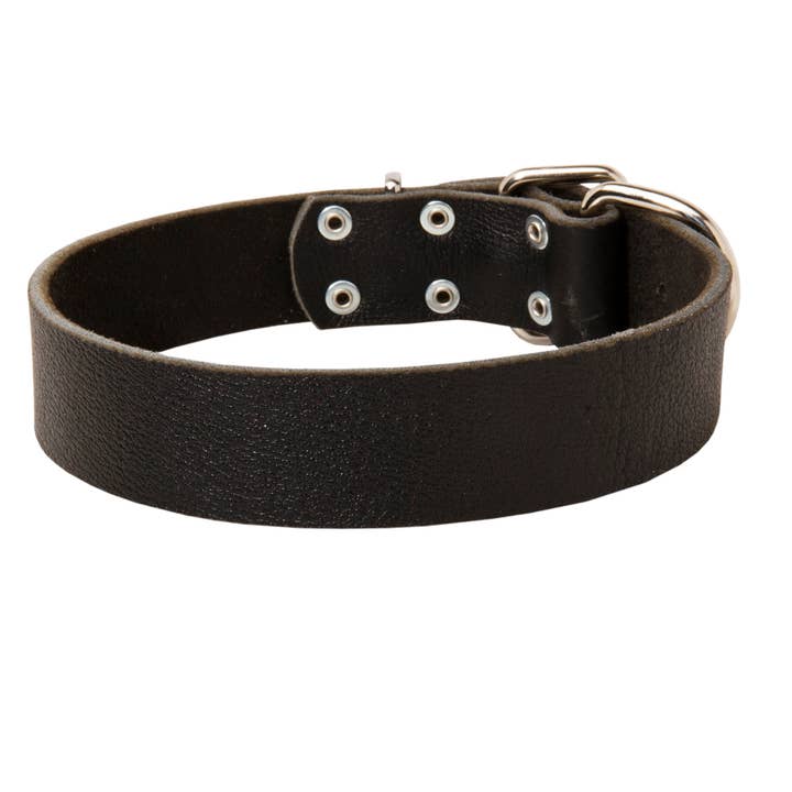 Heavy Duty Leather Dog Collar 1.5 inch (3.8cm) width for wholesale by FDT Global LLC