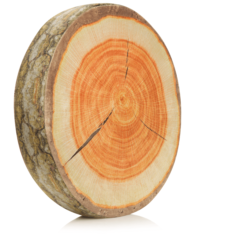 Husband Pillow - Vendita all'ingrosso Cuscini per letto - 360 - FETTA-REGISTRO-MAPL21