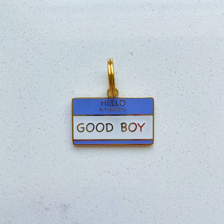 Only Good Behavior - Wholesale Pet identification tag – Dog - Dog Tag - Hello My Name is Good Boy
