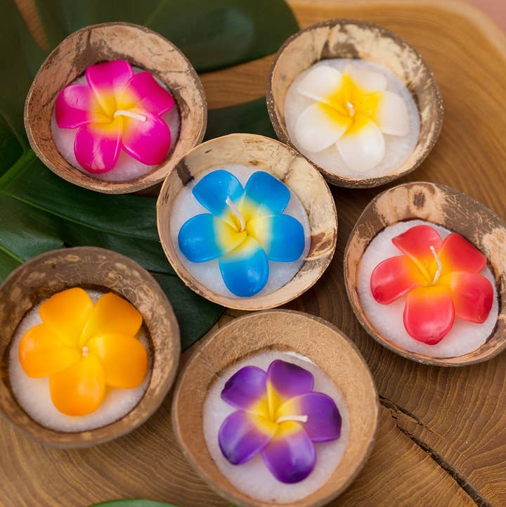 Namaste – Engroshandel Gavelys – Stor blomsterlys i kokosnøddeskal0