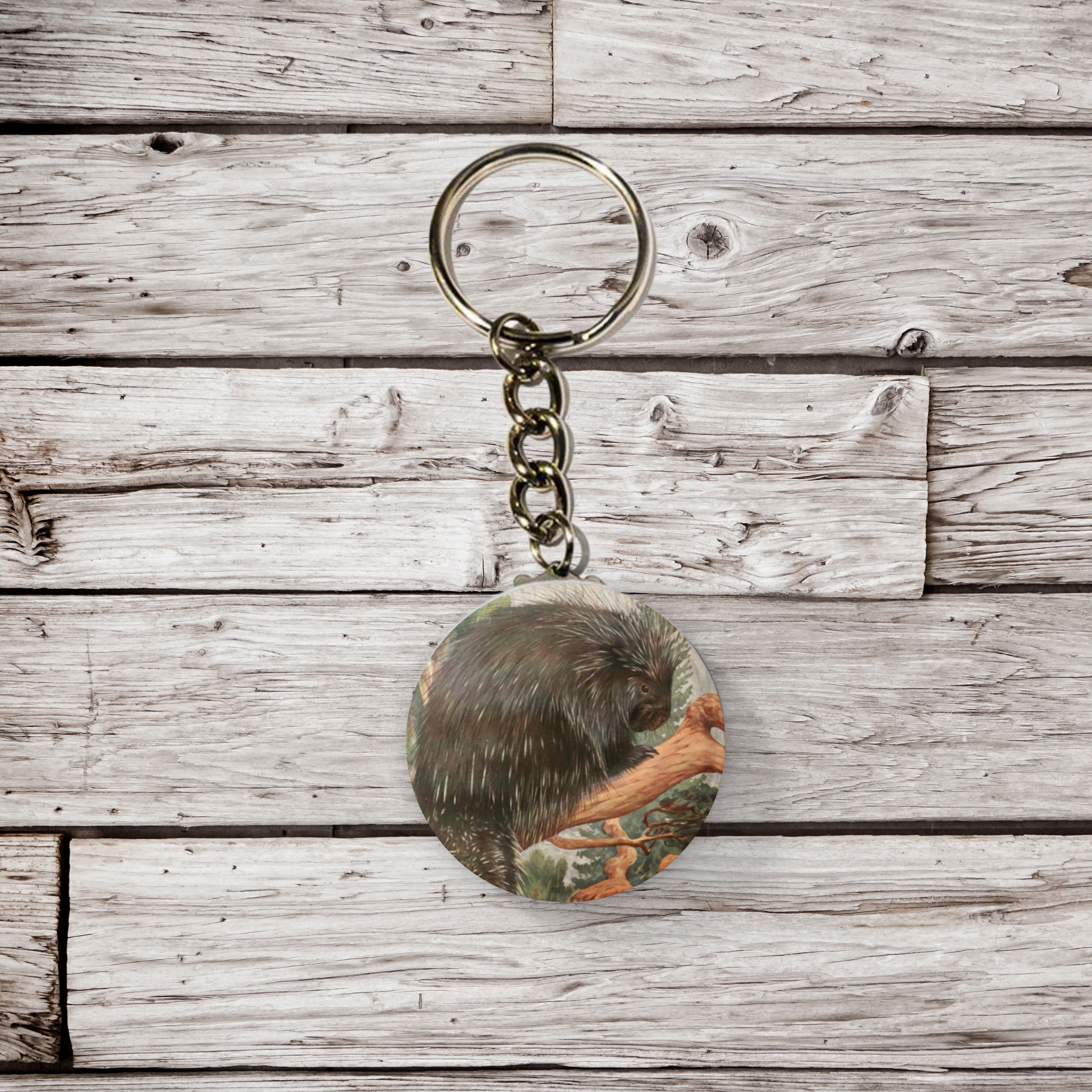 NatureCuts – Alfinete/botão de lapela por atacado – Botão de alfinete de porco-espinho, chaveiro porco-espinho, ímã porco-espinho2