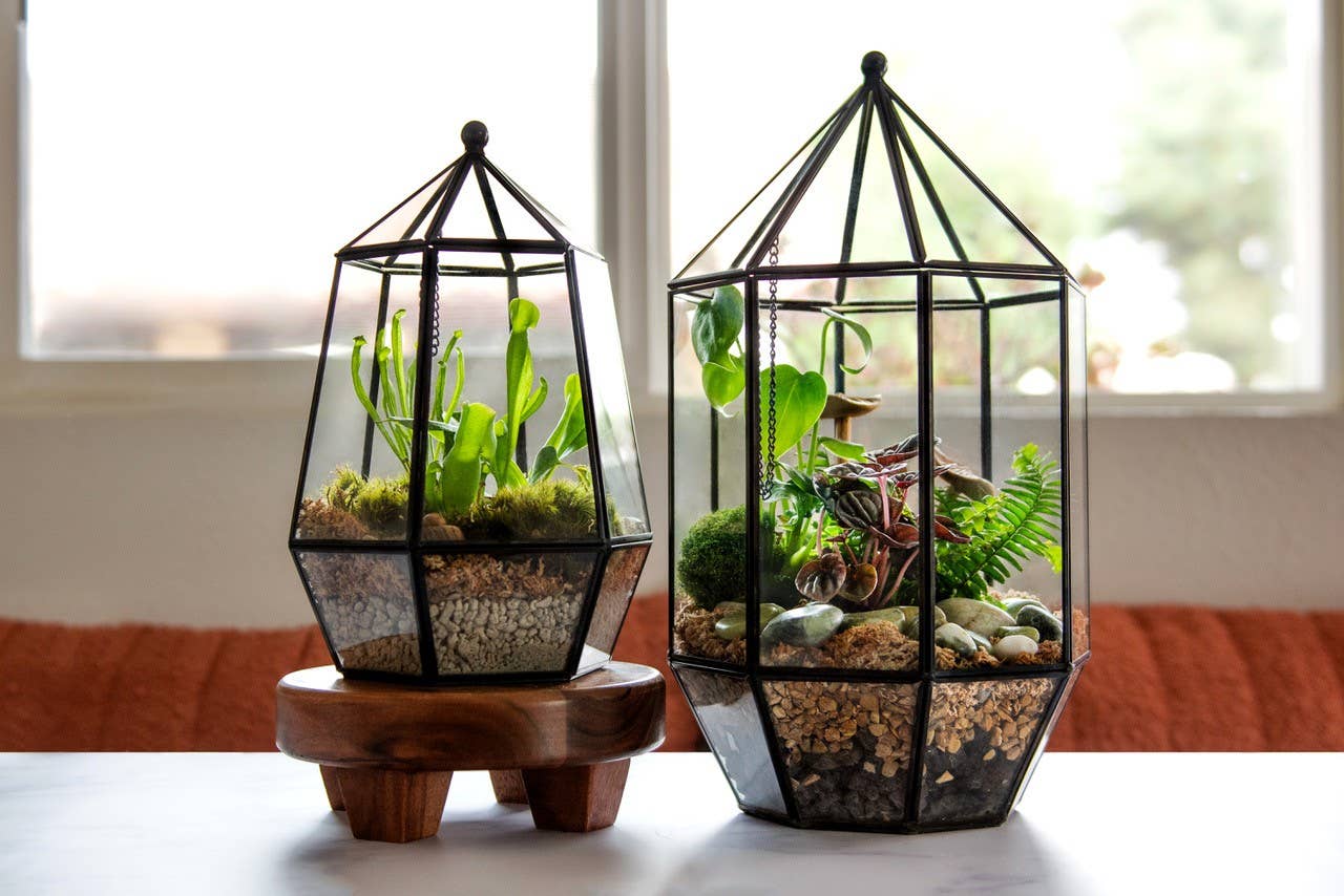 SuperMoss - Wholesale Terrarium - Glass Terrarium4