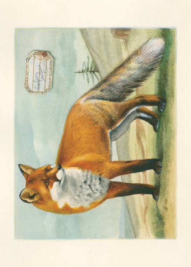 Bomo Art Budapest - Wholesale Everyday Greeting Card - Greeting Card + Envelope13