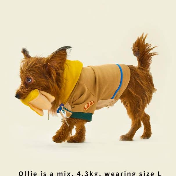 Colorblock Pure Cotton Hoodie Beige for wholesale by Likapaws / Heinemann Trading GbR