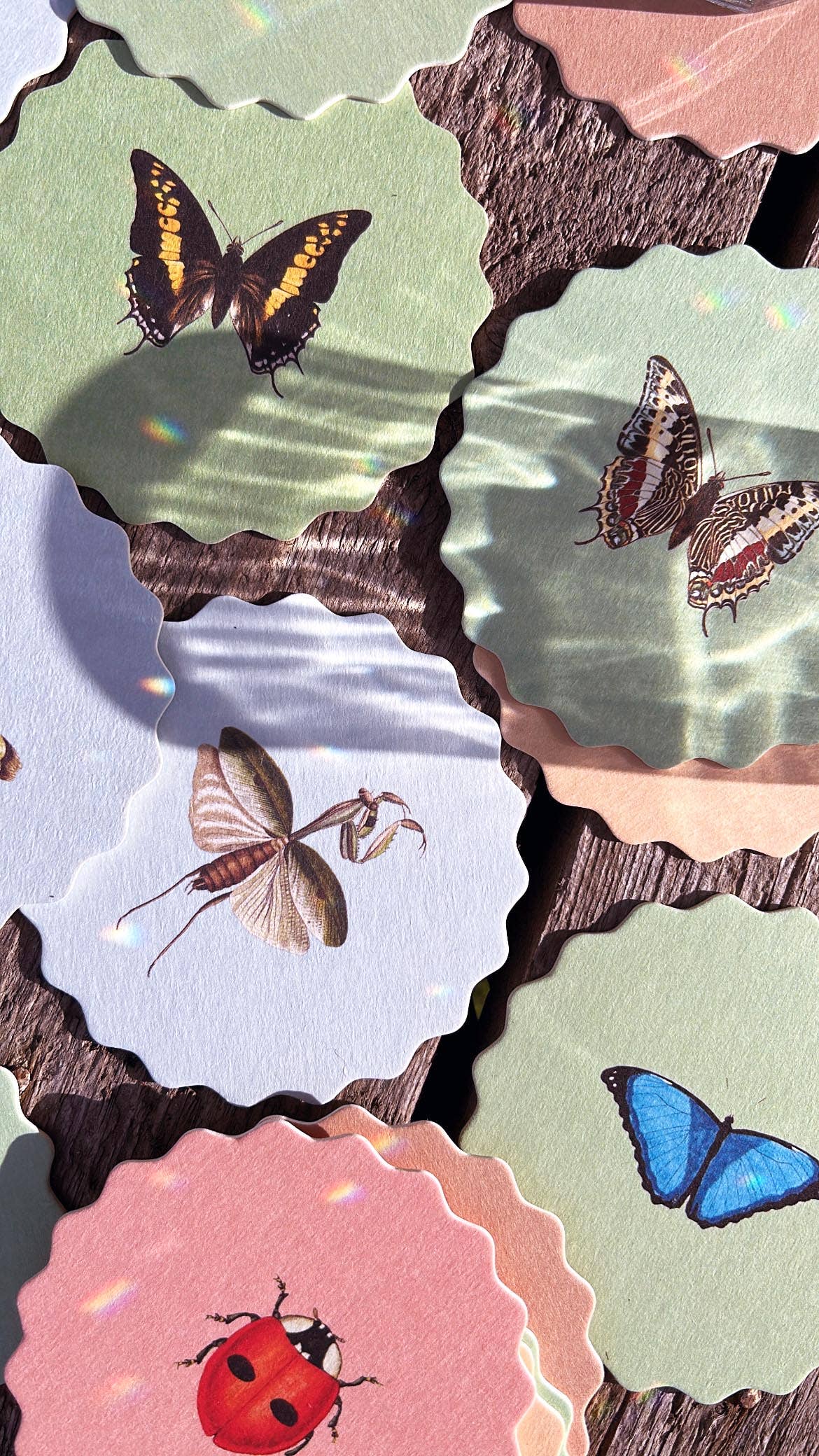 30x40 – wholesale Underlägg – Underläggsset Insekter 🐞🐝🪲 2025 UPPDATERING - NYA Designer :)5