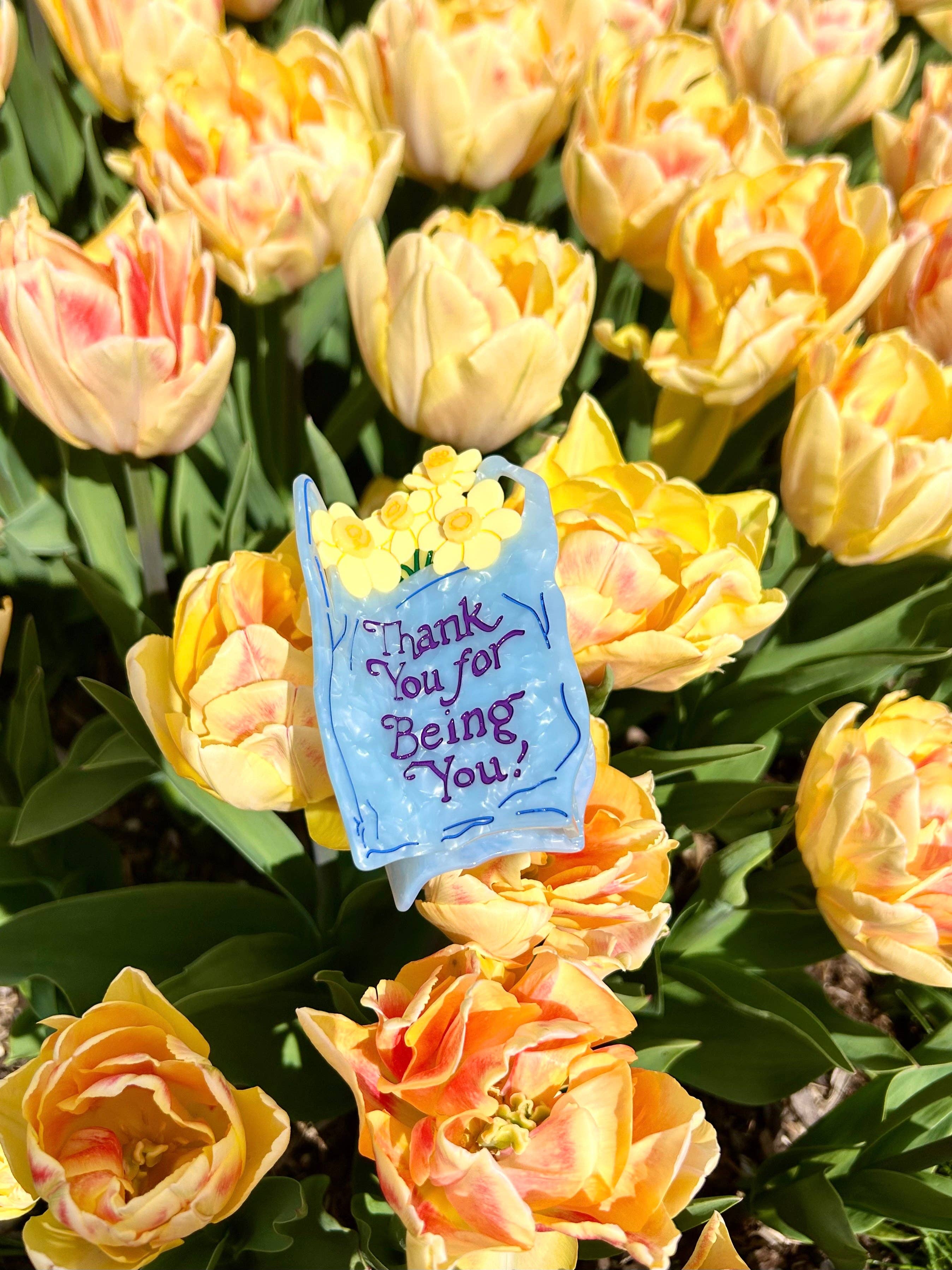 The Peach Fuzz - Wholesale Hair Accessories Set - Women's - Thank You Bag Hair Claw TPF x Lindsey Cherek Waller7