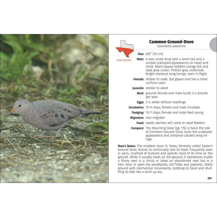 AdventureKEEN - Wholesale Nature Guide - Birds of Texas Field Guide 2e