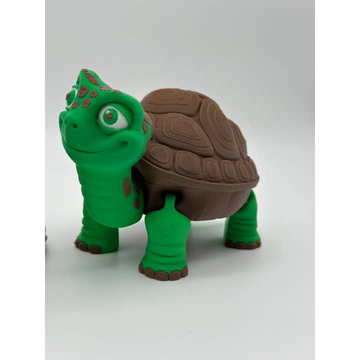 Box Turtle for wholesale by Lux Layers