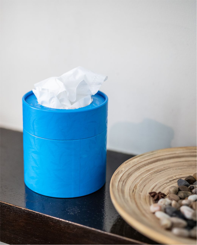 Renova – wholesale Tissue box – White Facial Tissues Renova Blue Box1