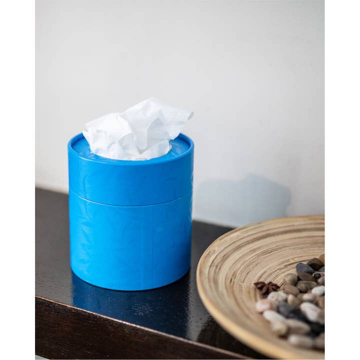 Renova - Wholesale Tissue Box - White Facial Tissues Renova Blue Box1