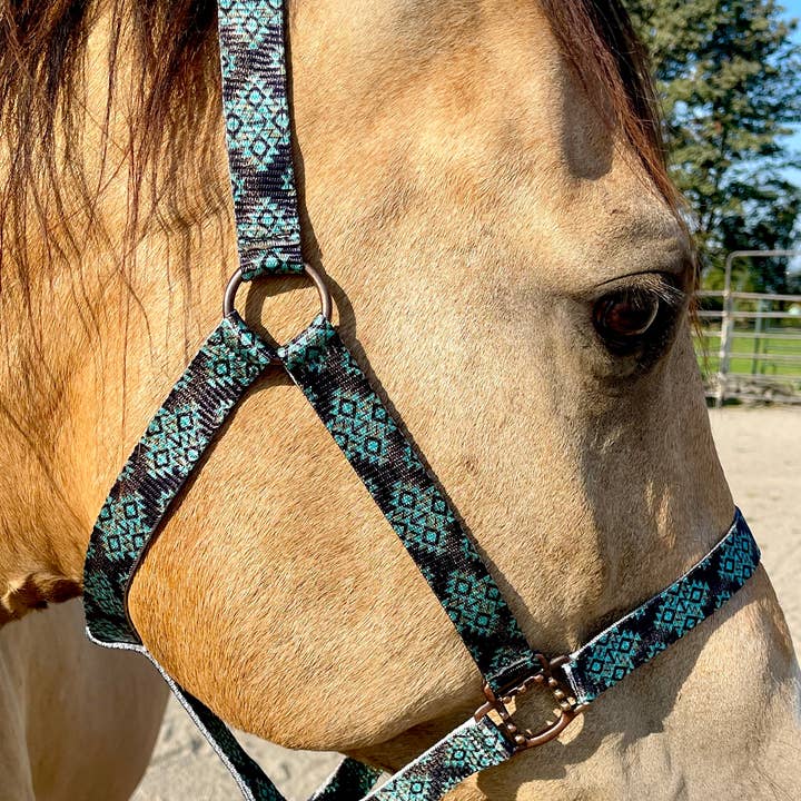 Schulz Equine - Vente Équipement d’équitation - Licol en nylon, taille cheval
