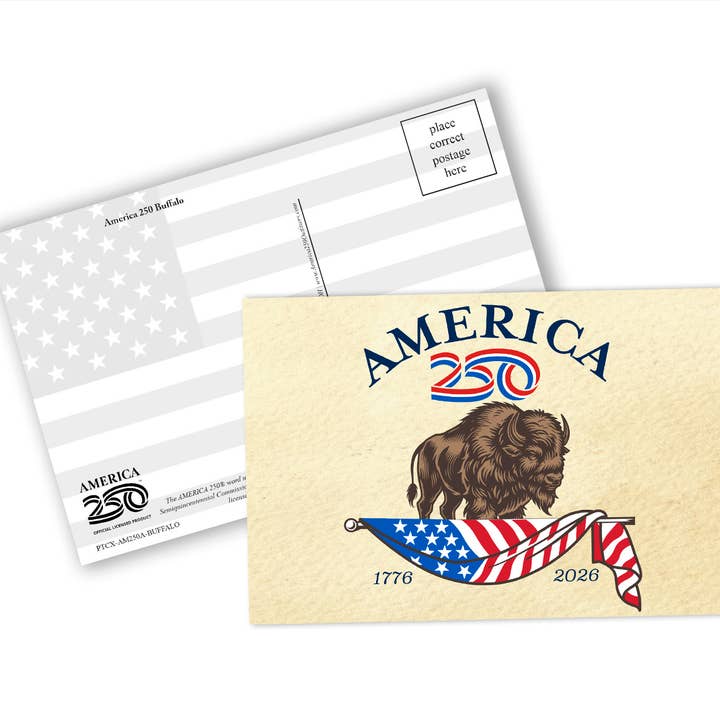 Carte postale Buffalo America250™ pour la vente par Nelson Gifts Wholesale