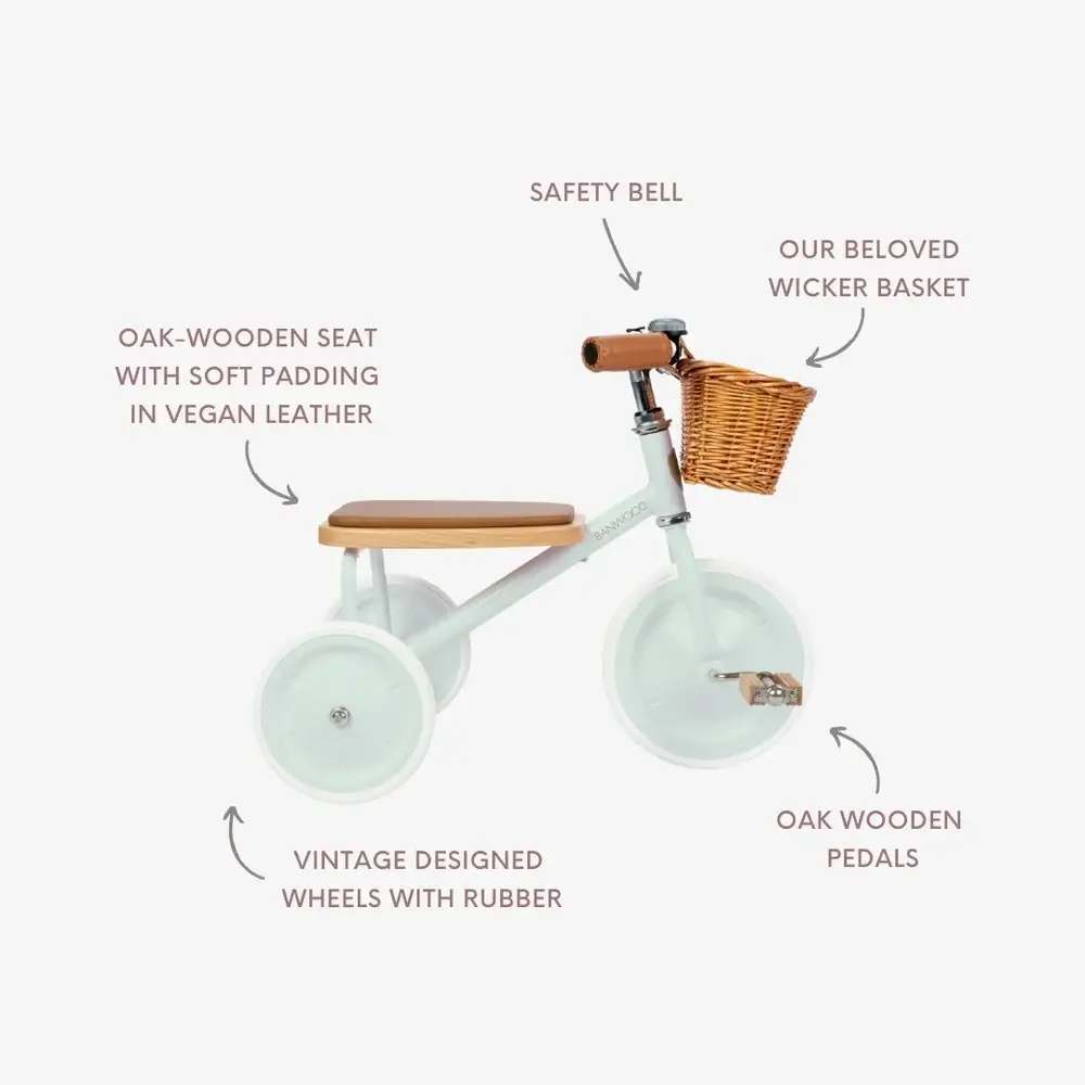 Banwood SL Europe - Wholesale Bike/Scooter - Kids - BANWOOD TRIKE VINTAGE - MINT2