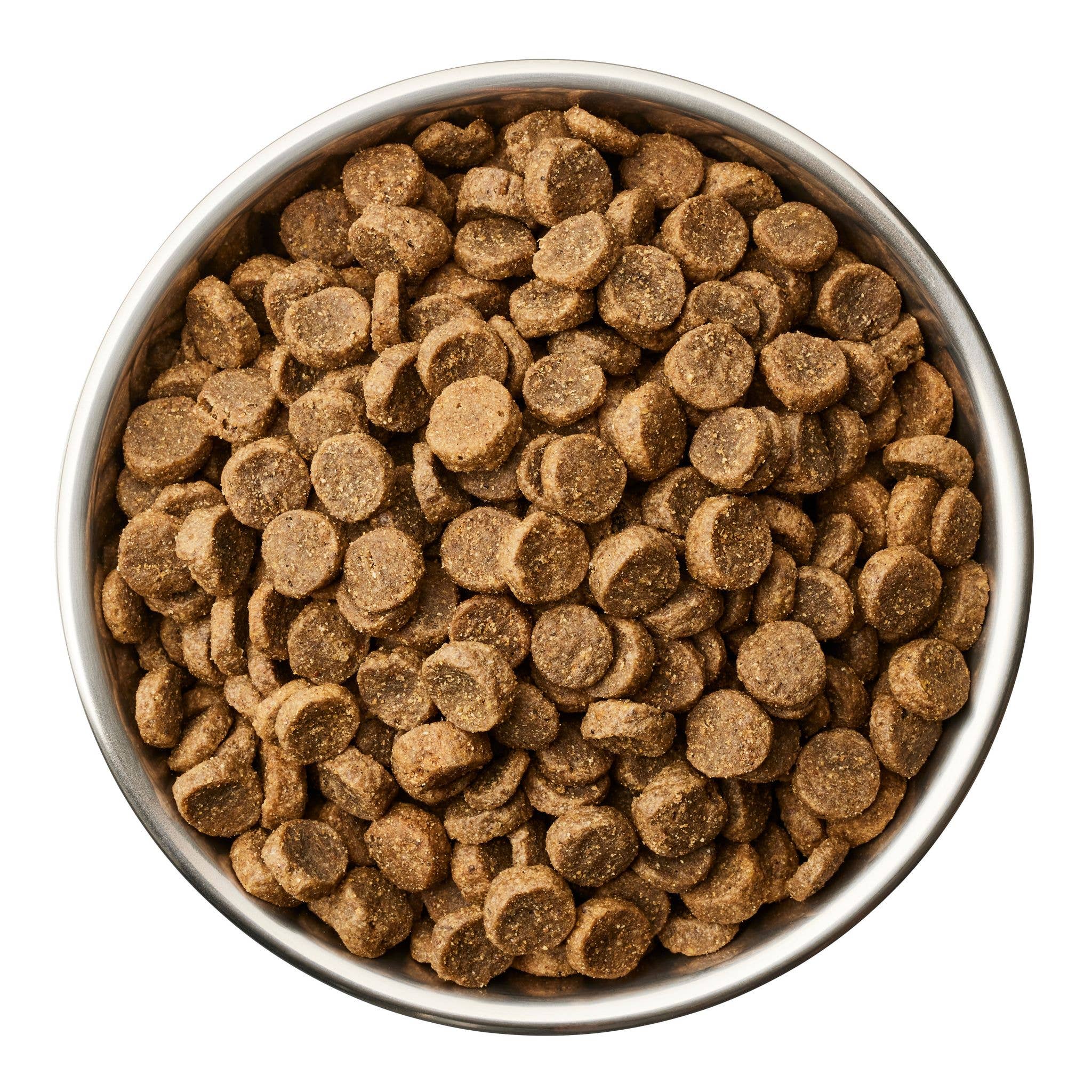 Globe Buddy - Wholesale Pet Food - Dog - Blue, Dry Food, Salmon, 4 kg2