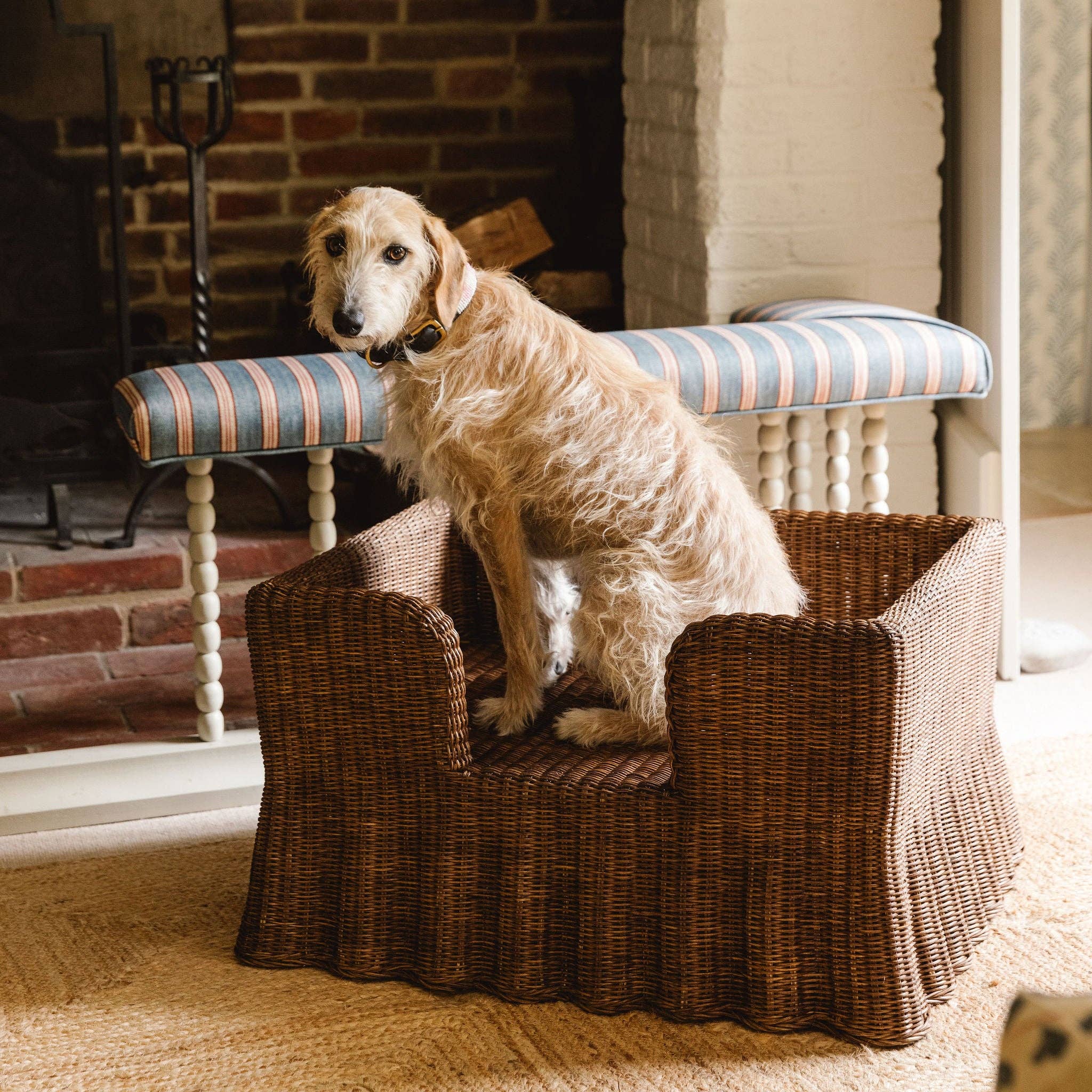 Hastshilp - Wholesale Pet Bed - Dog - Lassie Wavy Rattan Dog Bed4