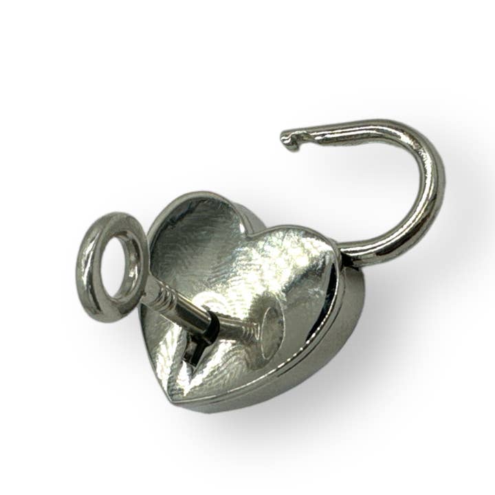 Kinky Pleasure - Wholesale Choker/collar - Kinky Pleasure - AX101 - Luxury Choker - Silver - 65cm3