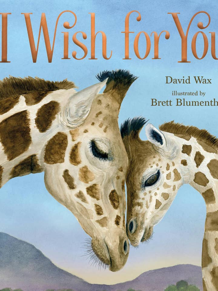 I Wish For You for wholesale by Macmillan Publishers