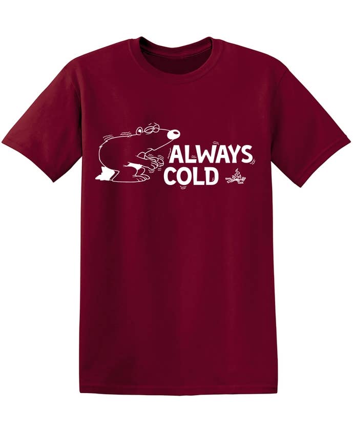 Feelin Good Tees - Wholesale Shirt - Men's - Always Cold11