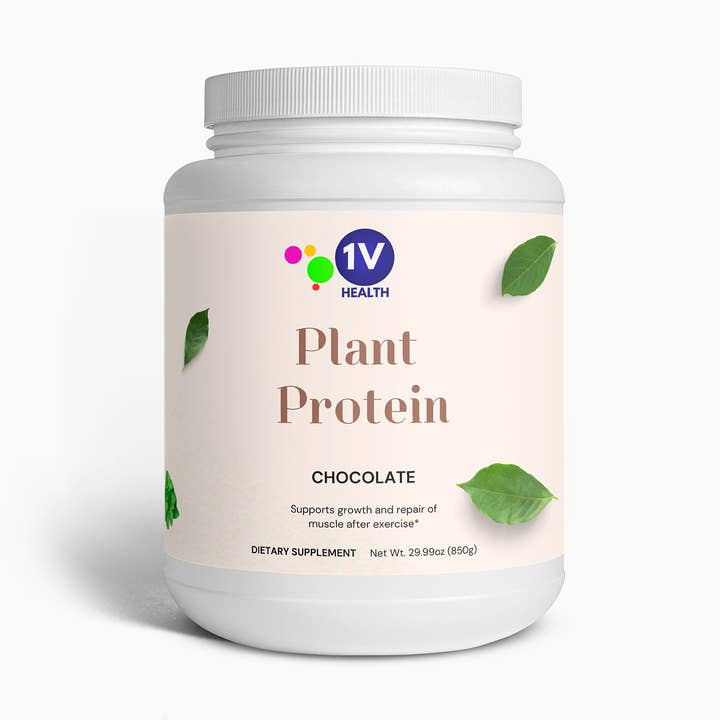 Plant Protein (Chocolate) for wholesale by 1V Health