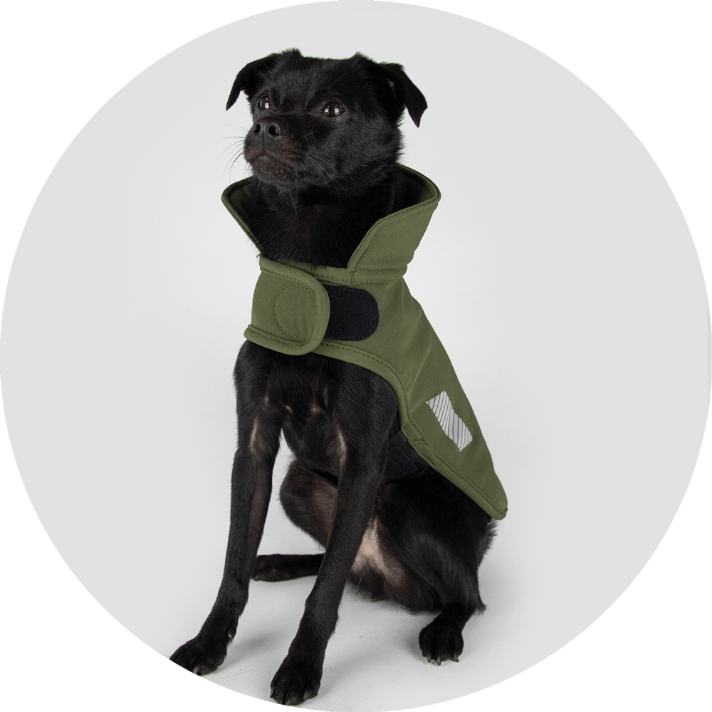 Wildebeest - Wholesale Pet Raincoat - Dog - All Weather Dog Jacket | Waterproof Dog Rain Coat | Fleece15