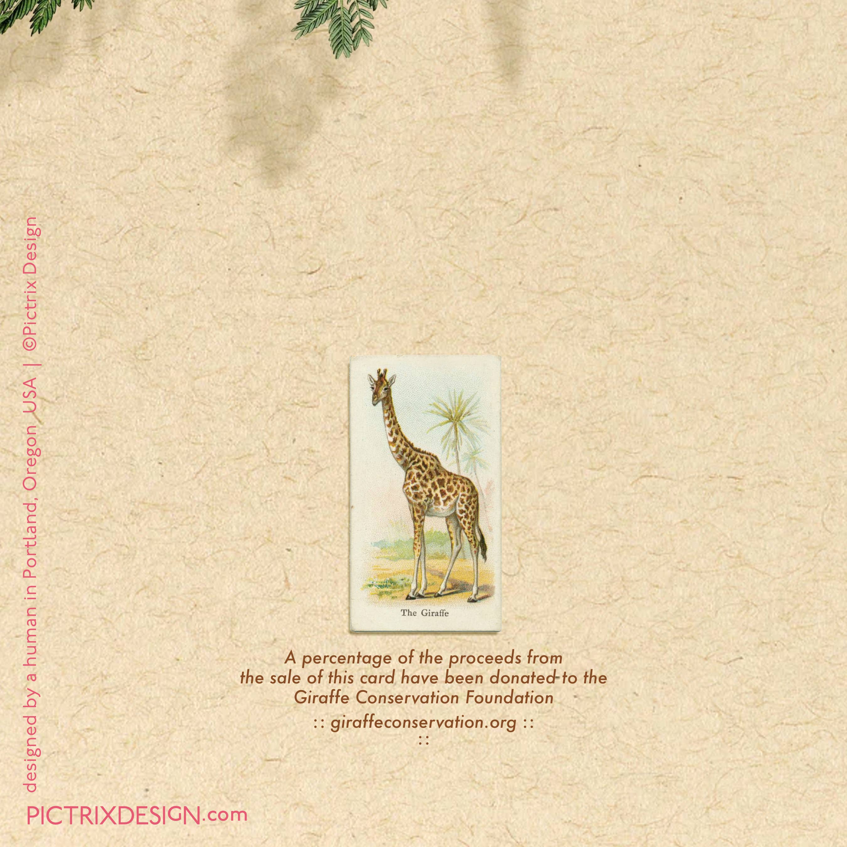 Pictrix Design - Wholesale Everyday Greeting Card - “Hi. (giraffe)" A2 greeting card5