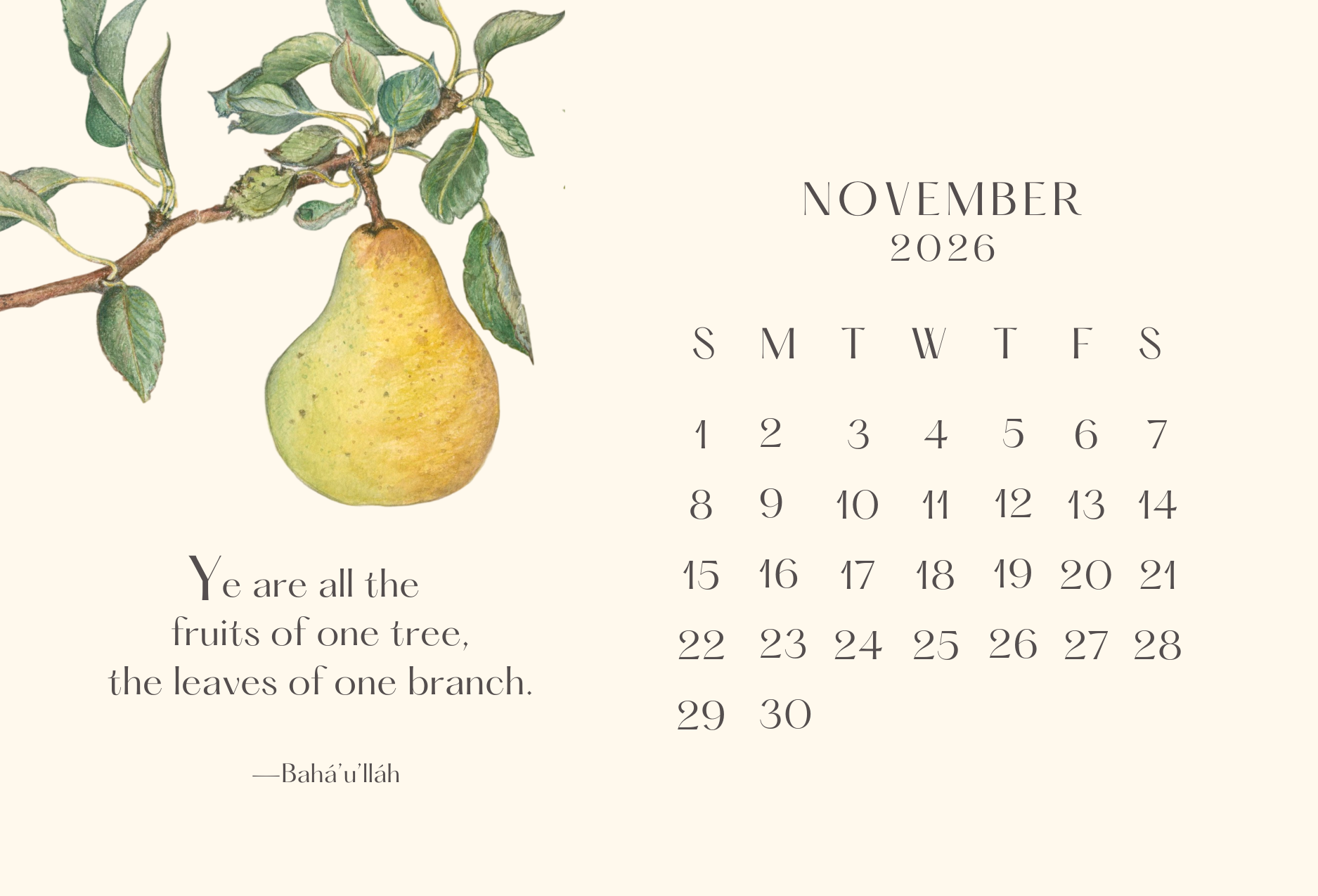 Leafy Lexicon - Wholesale Calendar - Little desktop calendar (with wooden display stand)12