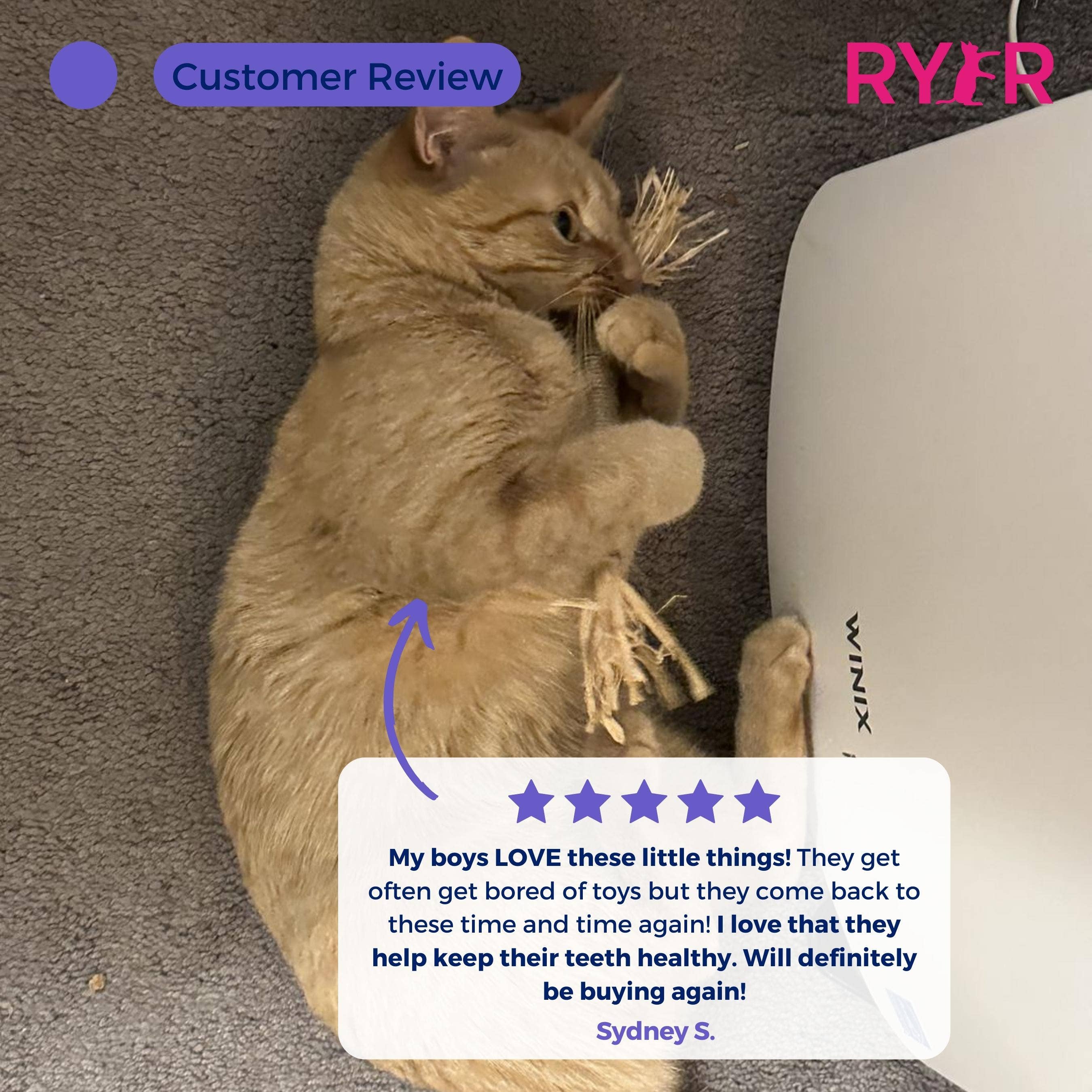 RYERCAT - Wholesale Pet Toy - Cat - Silvervine Cat Dental Sticks - Natural Dental Care (5 Pack)3