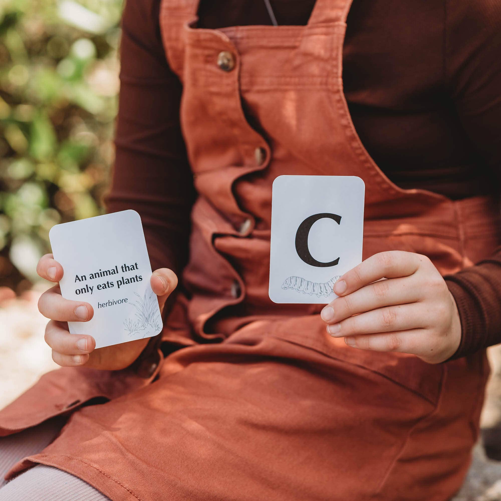 Your Wild Books - Wholesale Card game - Wild Quiz card game4