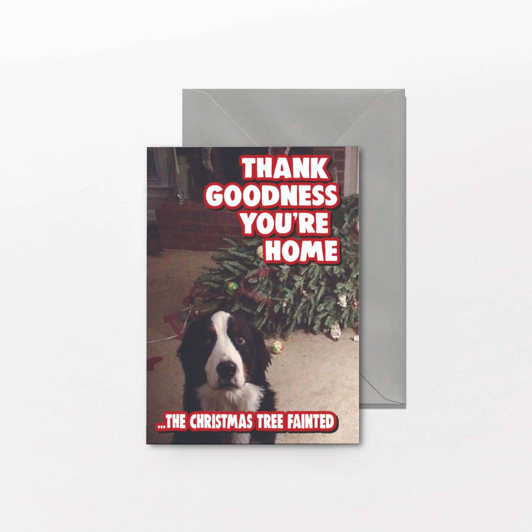 Cheeky Chops Cards & Wanky Candles - Wholesale Kerstkaartje - Kerstkaart Huisdiereigenaar - Godzijdank dat je thuis bent XM3321