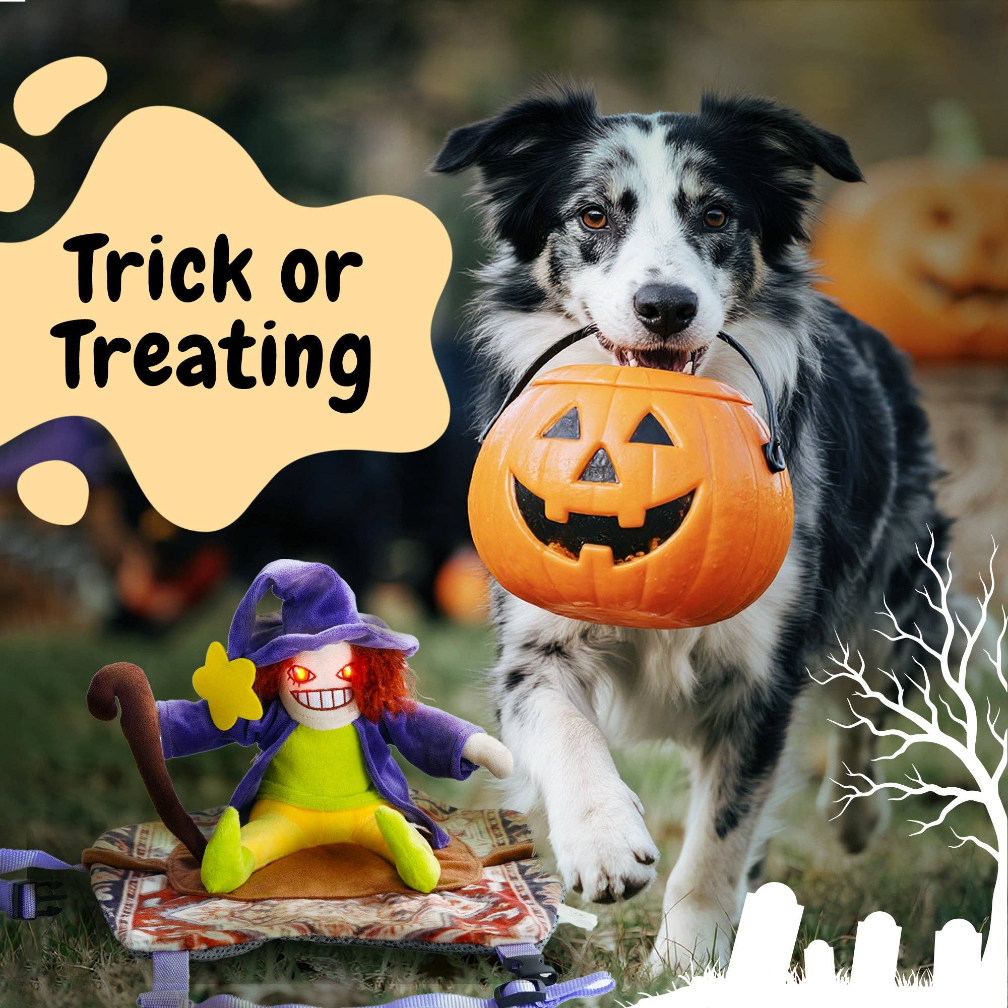 Nocciola - Wholesale Pet Costume - Dog - Witch Riding Dog Halloween Costume4