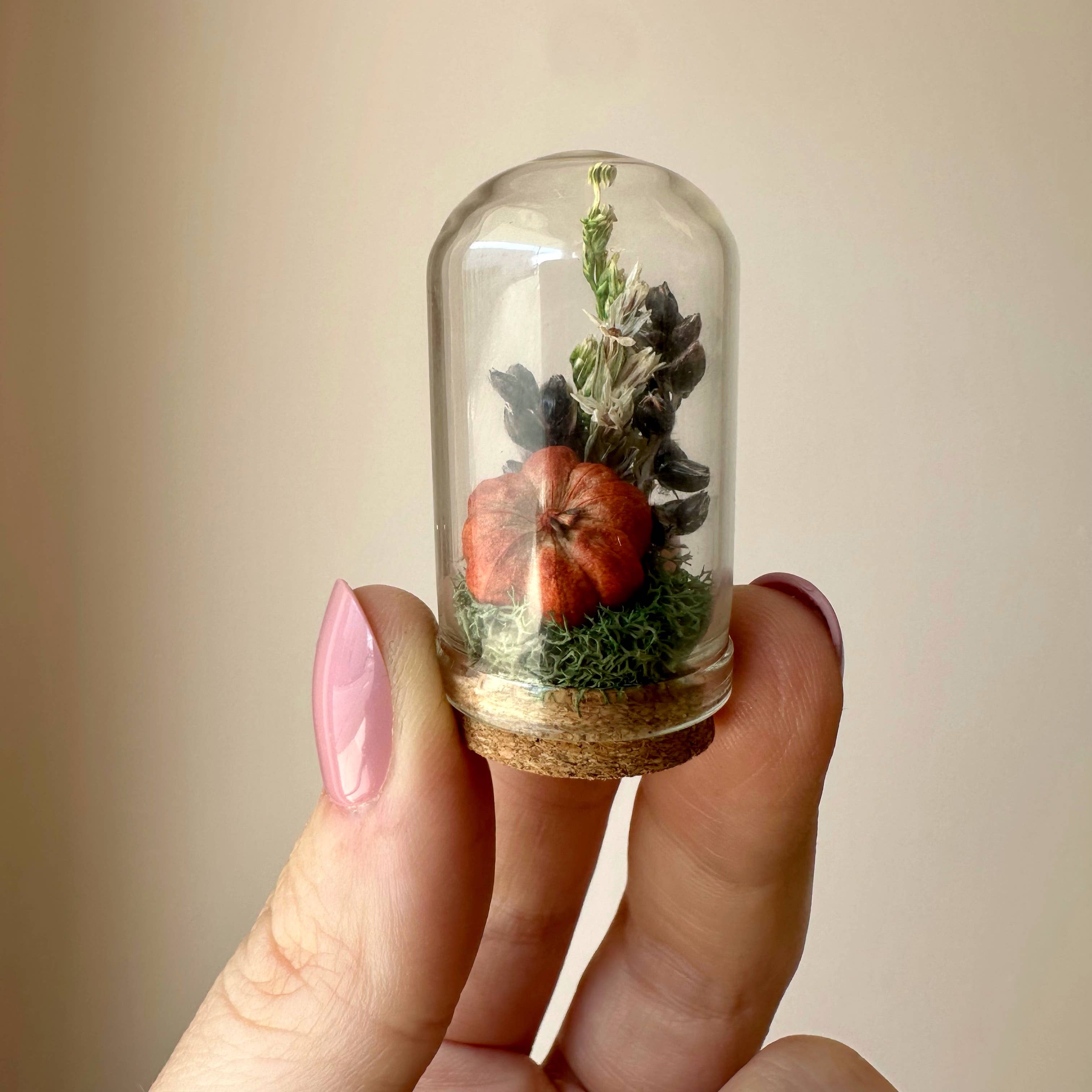 CA Studios - Wholesale Terrarium - Pumpkin Mix Mini Terrarium Potion Jar w Dried Florals0