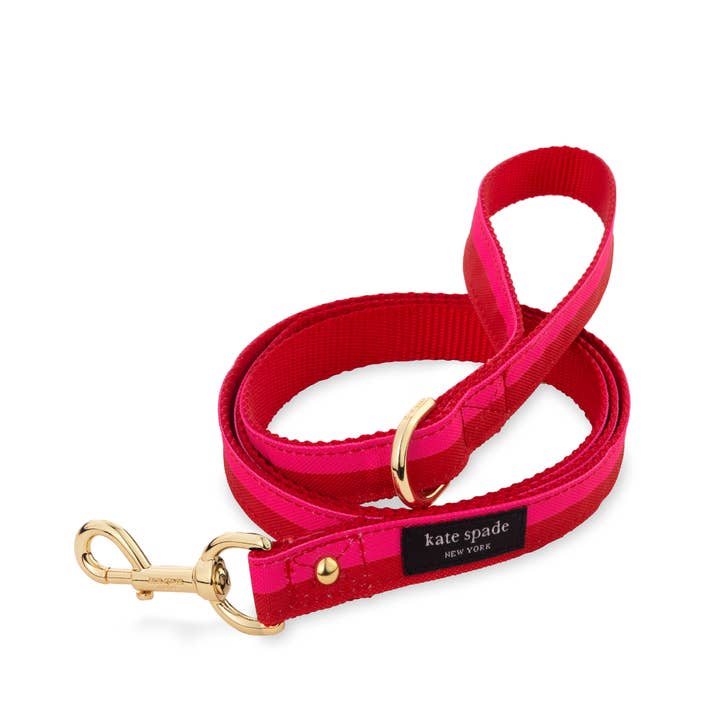 Small Dog Leash, Red and Pink for wholesale by Kate Spade New York by Lifeguard Press