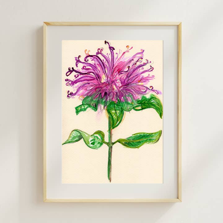 Wild Botanical Atelier - Wholesale Art Print - Wildflower Watercolor Print Botanical Wall Art 0