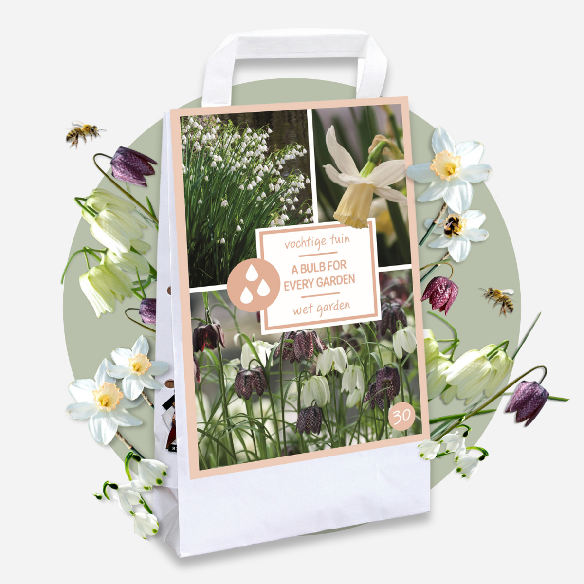 Oasis of Life - Vente Graines de plantes - Boîte de jardin humide – 30 bulbes pour emplacements humides et pluvieux – Mélange de Fritillaria Meleagris, Leucojum Aestivum & Narcissus Recurvus – Rustique, vivace & favorable aux insectes – Pour sols de jardin humides4