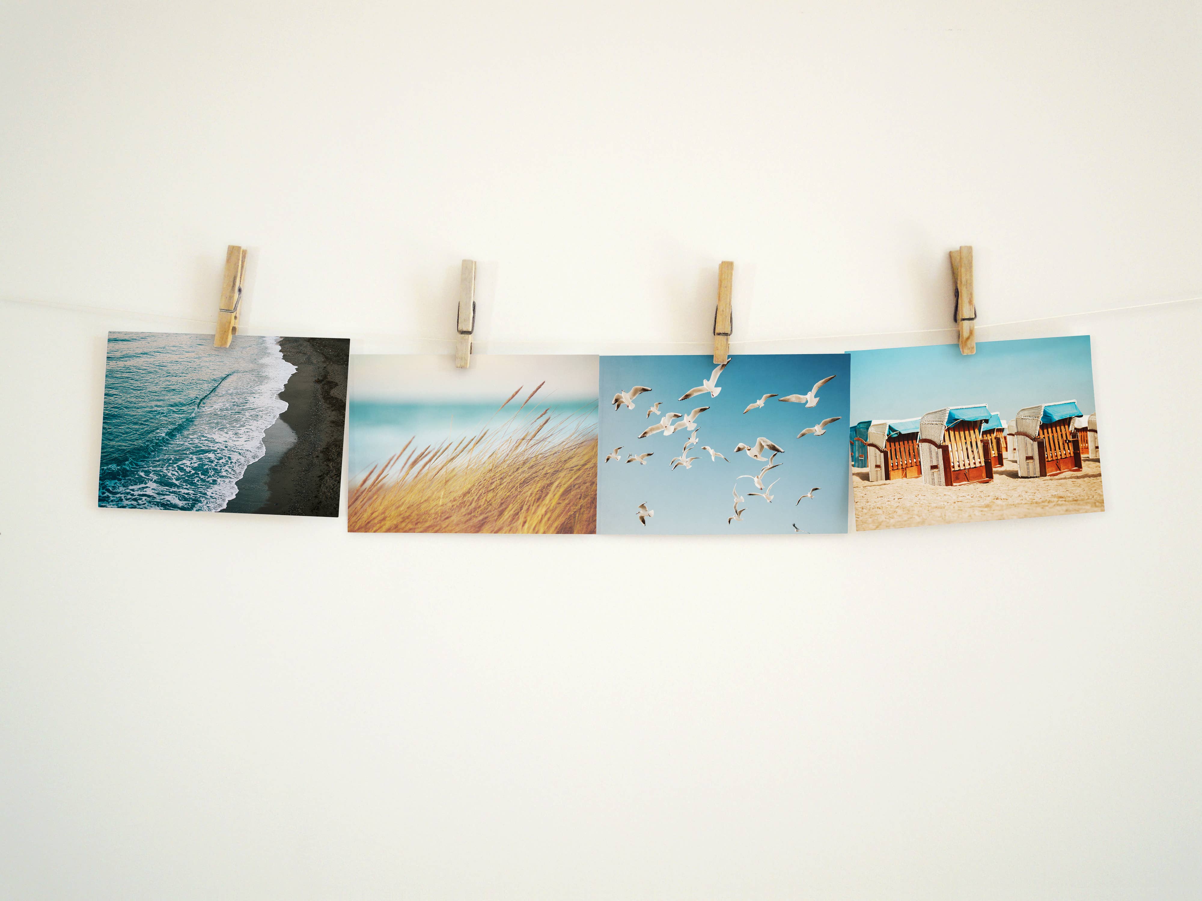 Justepixx - Vente Cartes postales - Carte postale mouettes dans le ciel A65