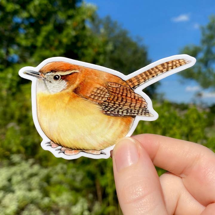 Carolina Wren Bird Weatherproof Vinyl Sticker for wholesale by Allison Stoiser Art