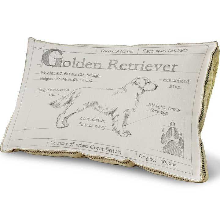 23" x 15" - Decorative Pillow - Blueprint Golden Retriever for wholesale by SPLASHWORKS