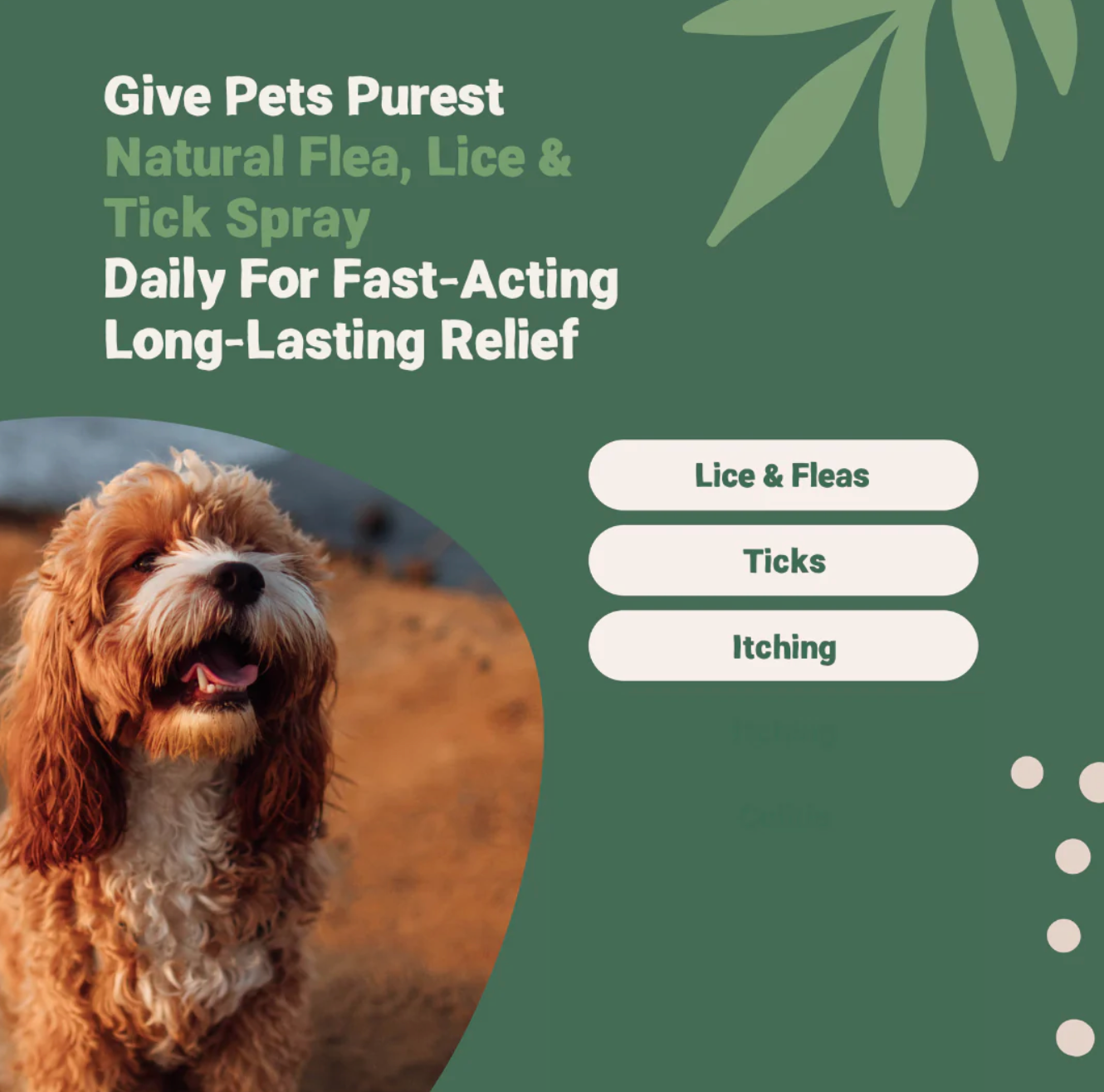 Pets Purest – wholesale Pet flea/tick spray – Pets Purest Flea Treatment For Dogs, Cats & Pet - All Natura1