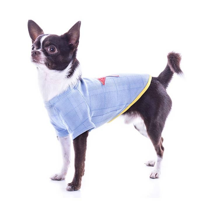 Groc Groc Nonne Stjerne Sildeben Hund T-Shirt for engroshandel hos Groc Groc