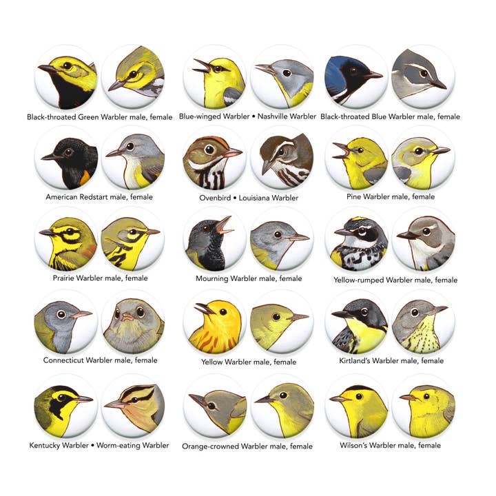 River Thrush Studio - Wholesale Lapel Pin/Button - Bird Portrait Pins 1.5 inches7