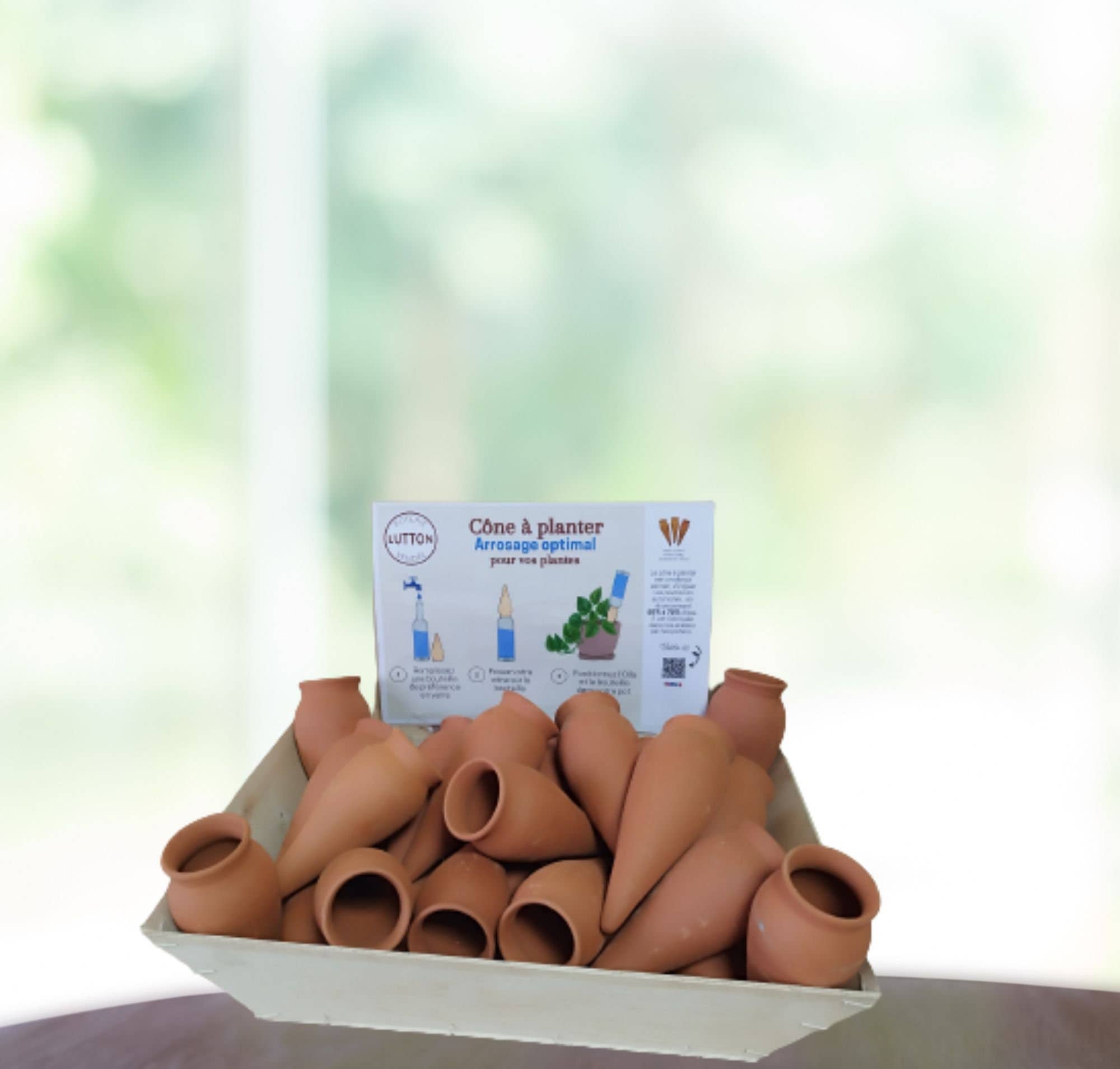 Poterie lutton – Engroshandel Plantekrukke – Sæt med 36 plante-coner1