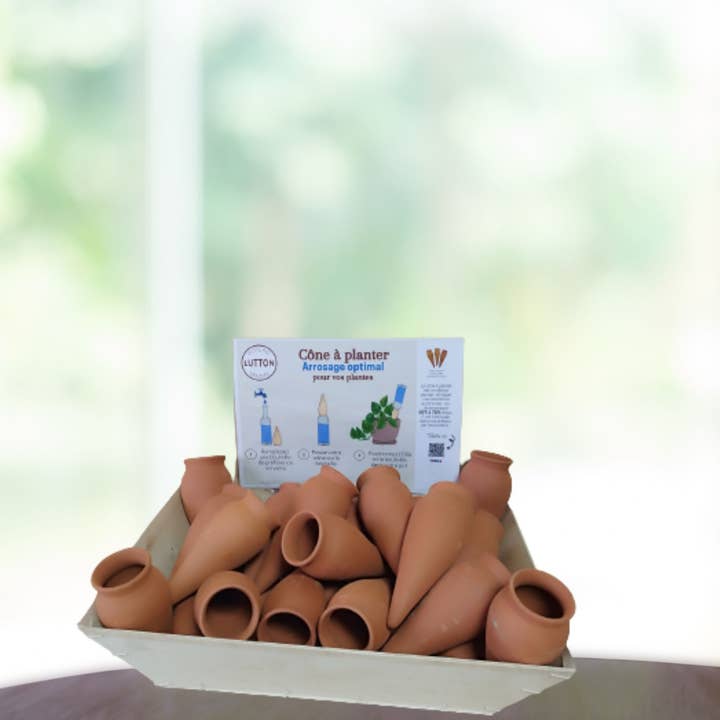 Poterie lutton - Vendita all'ingrosso Vasi per piante - Cesto di 36 coni da piantare1