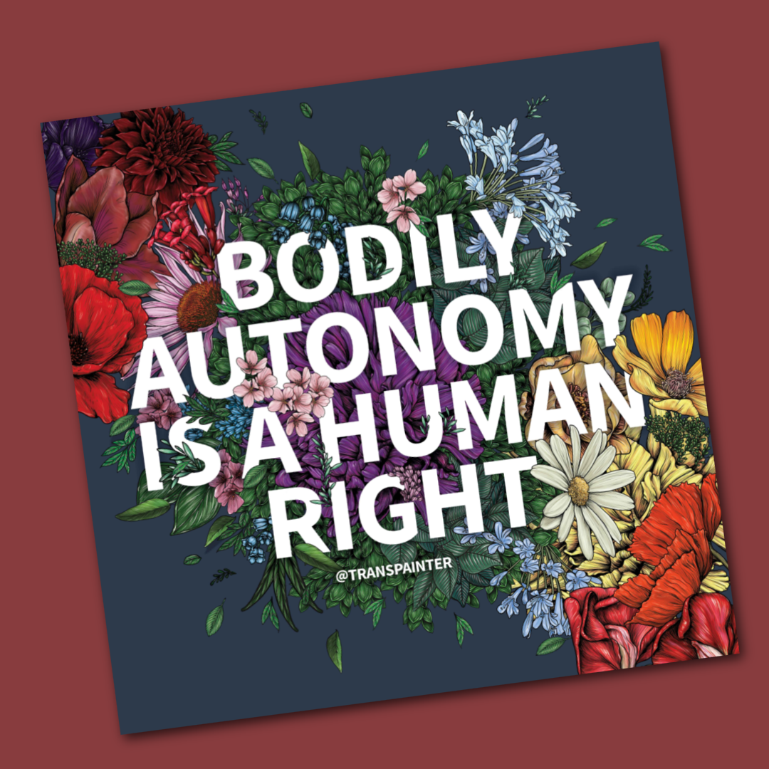 Transpainter - Wholesale Sticker - Bodily Autonomy is a Human Right Sticker | Feminist Stickers10
