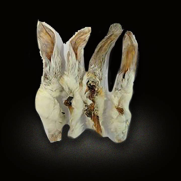 Skylos Foods – wholesale Pet treats – Dog – Rabbit Ears (with hair) *Grade A*1