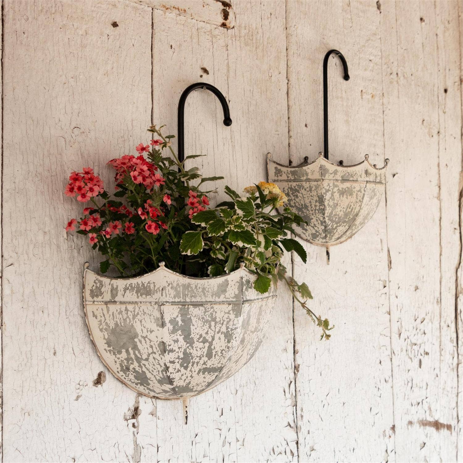 Audrey's Home & Gift - Wholesale Wall Planter - Galvanized Umbrella Wall Planter (Set Of 02)4