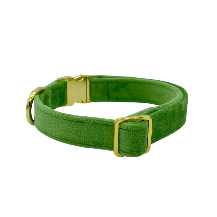 Veludo de samambaia - gola por atacado de Molly & Co.