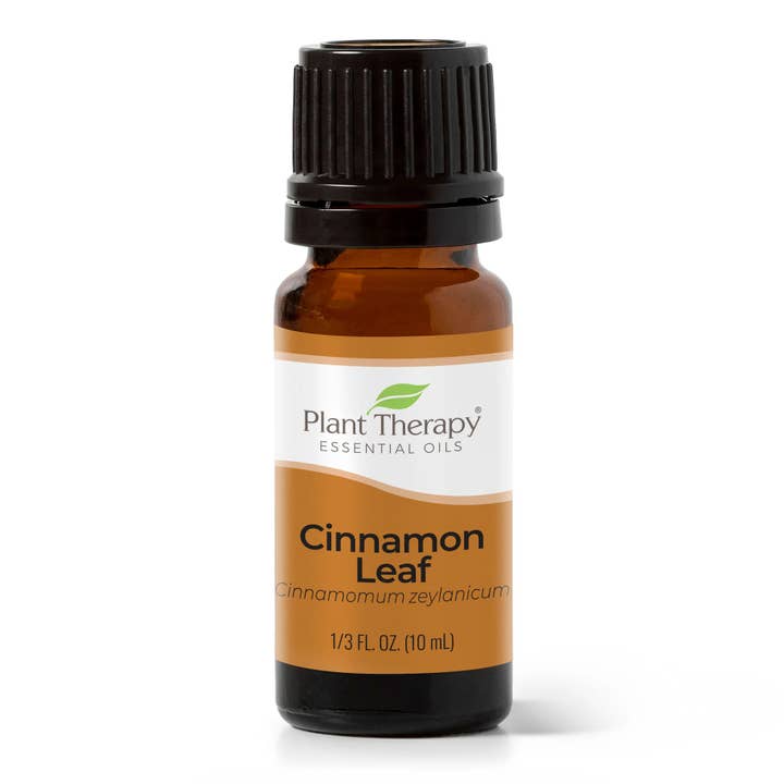 Plant Therapy - Wholesale Essential Oil - Cinnamon Leaf Essential Oil 10 mL