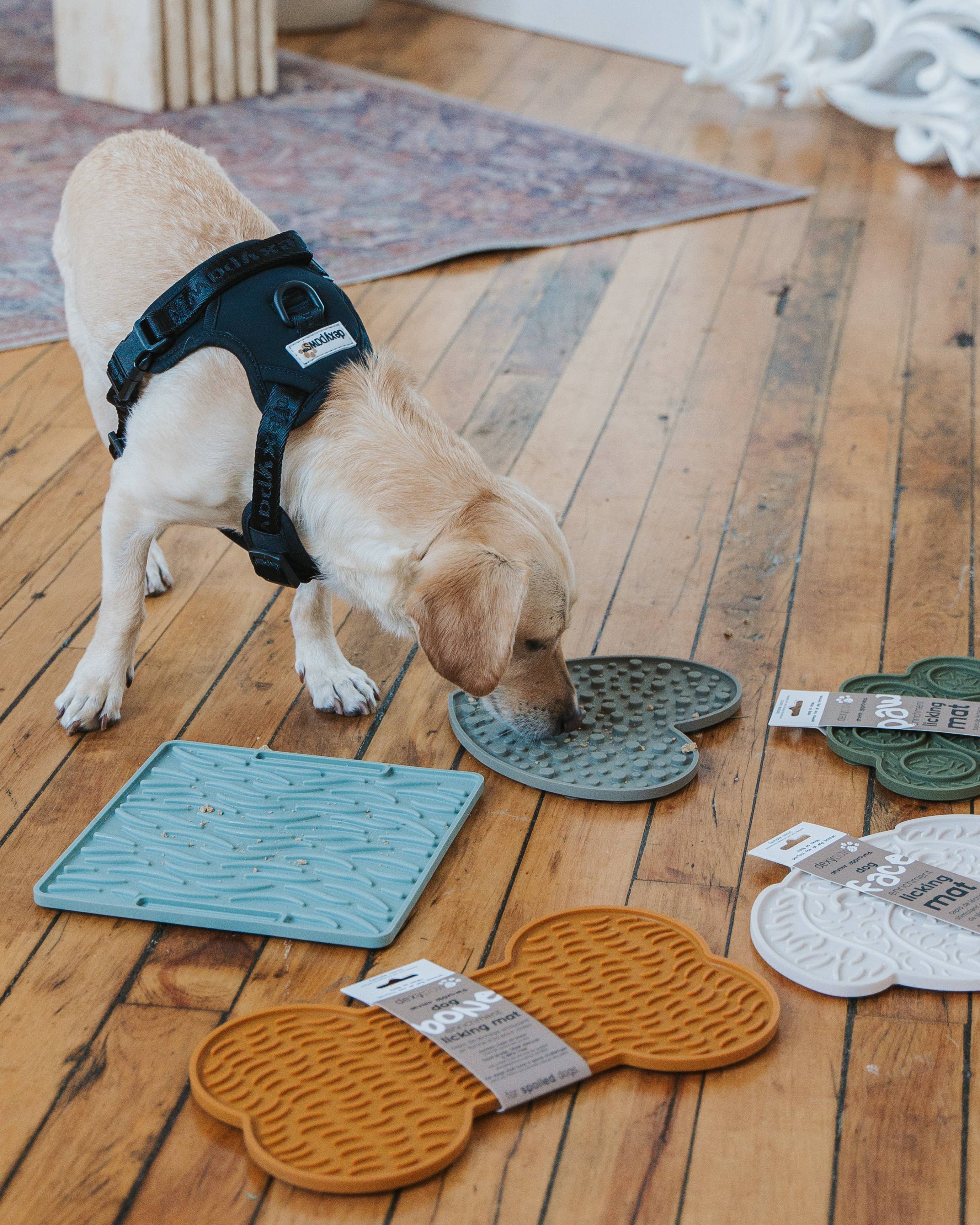 dexypaws - Wholesale Pet Food Mat - Dog - Green Heart Shaped Enrichment Lick Mat1